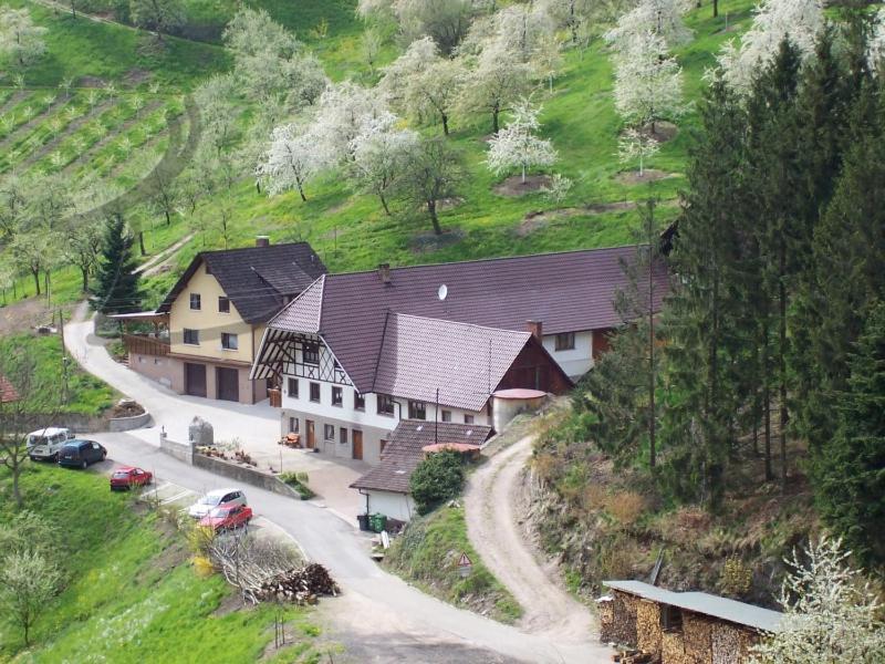 Ferienwohnung Schneckenhus Lautenbach Ngoại thất bức ảnh