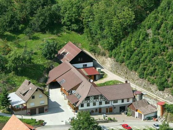 Ferienwohnung Schneckenhus Lautenbach Ngoại thất bức ảnh